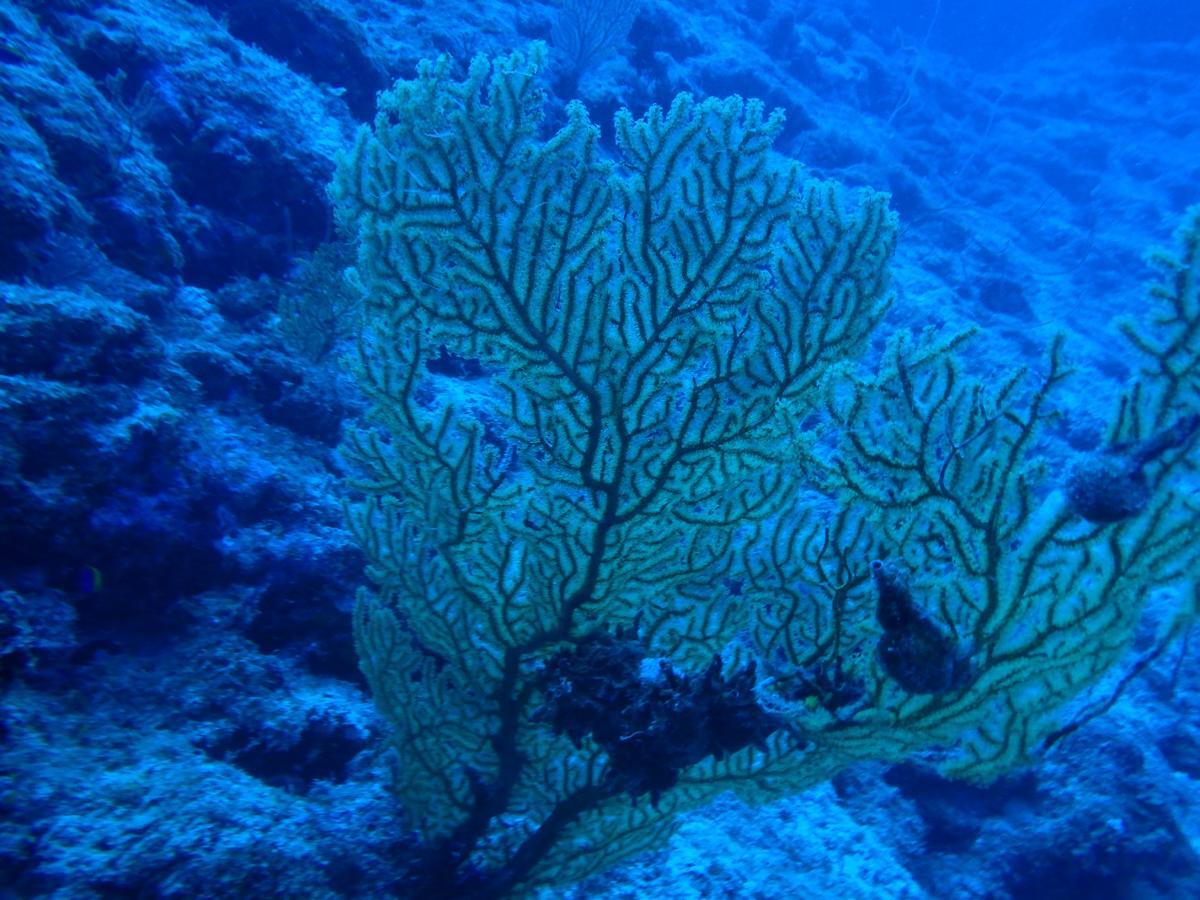 Готель Sea Blue Онна Екстер'єр фото