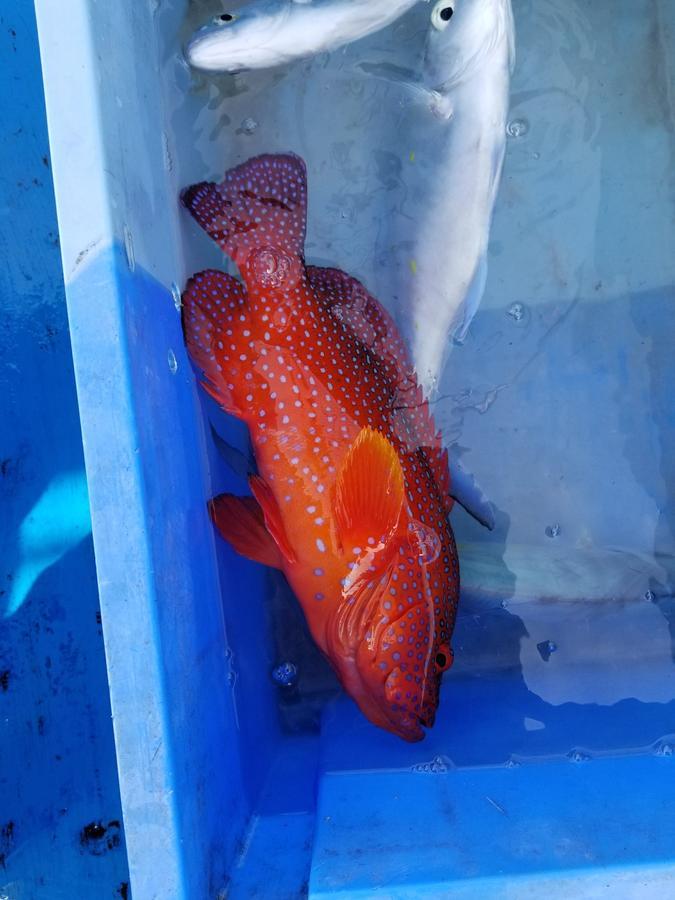 Готель Sea Blue Онна Екстер'єр фото